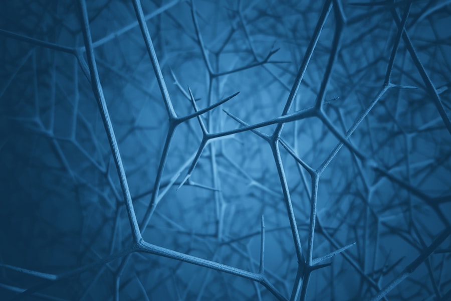 Heisenberg Uncertainty