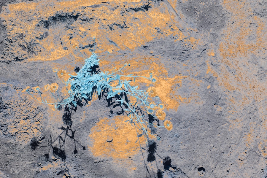 Europa water plumes discovery