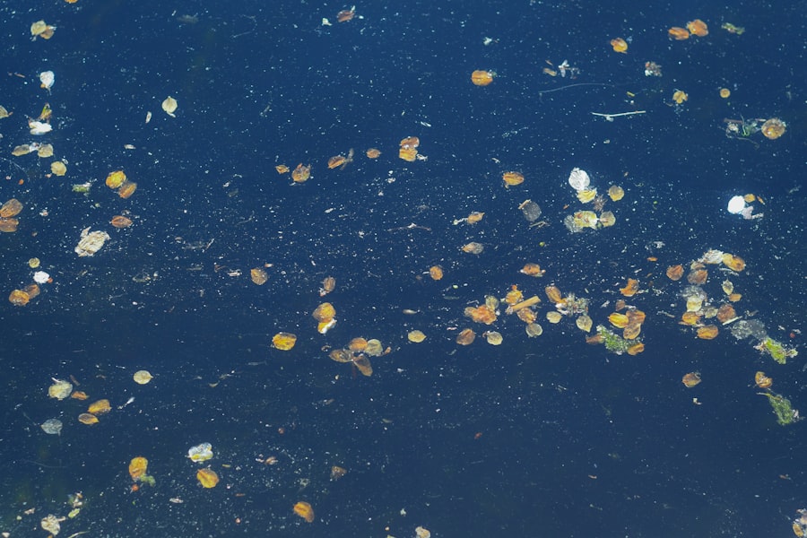 space debris mitigation guidelines