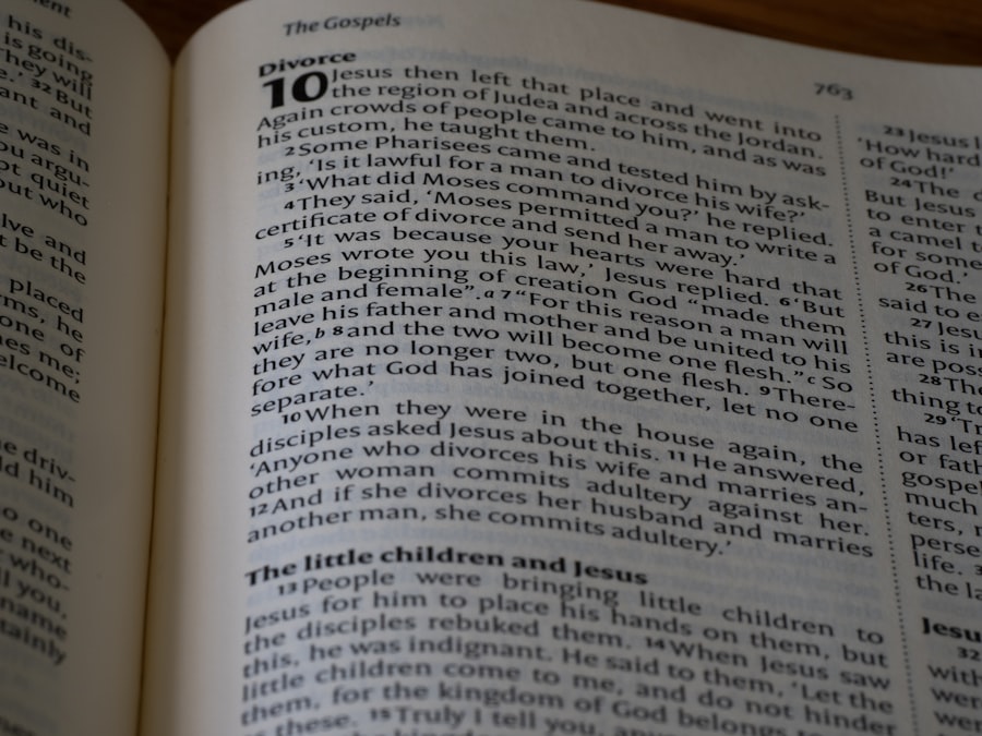 baby einstein circle time book