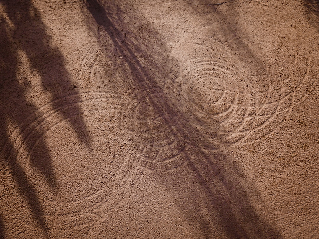 Photo alien fingerprint