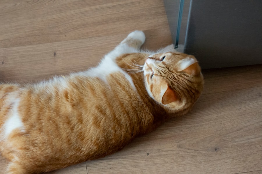 Photo tummy time mat