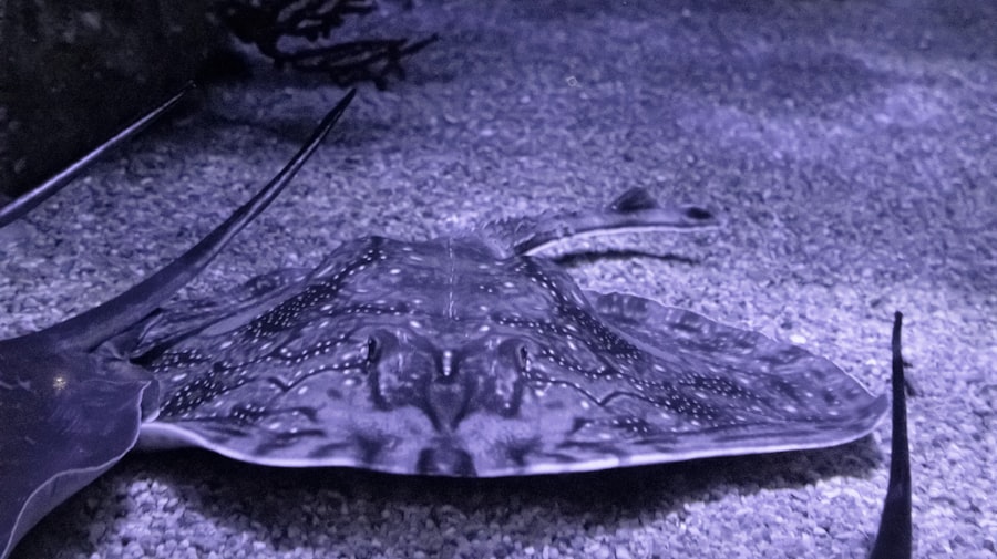 Photo ocean floor alien metal