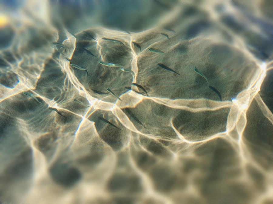 Photo Quantum foam