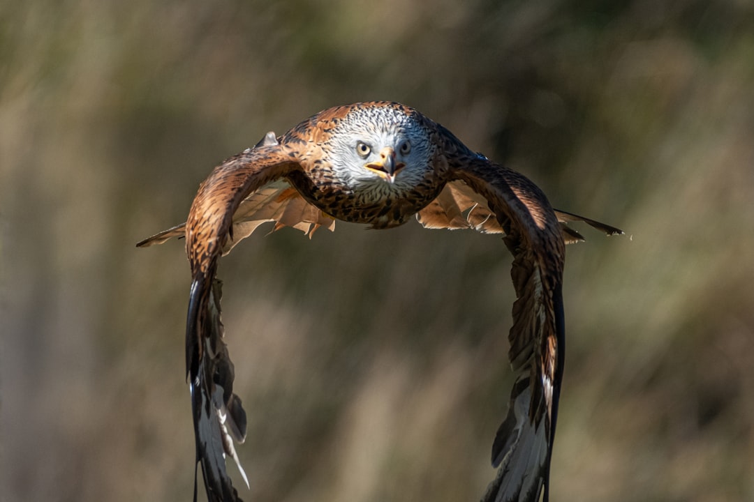 Photo Stephen Hawking