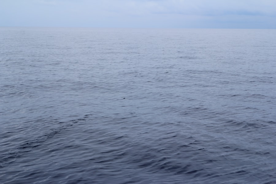 Photo Europas secret ocean