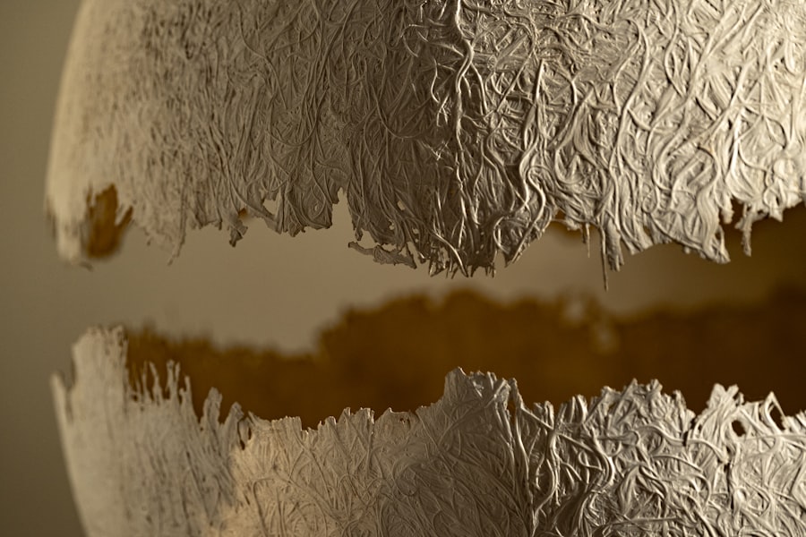 Photo Europa Clipper radiation vault