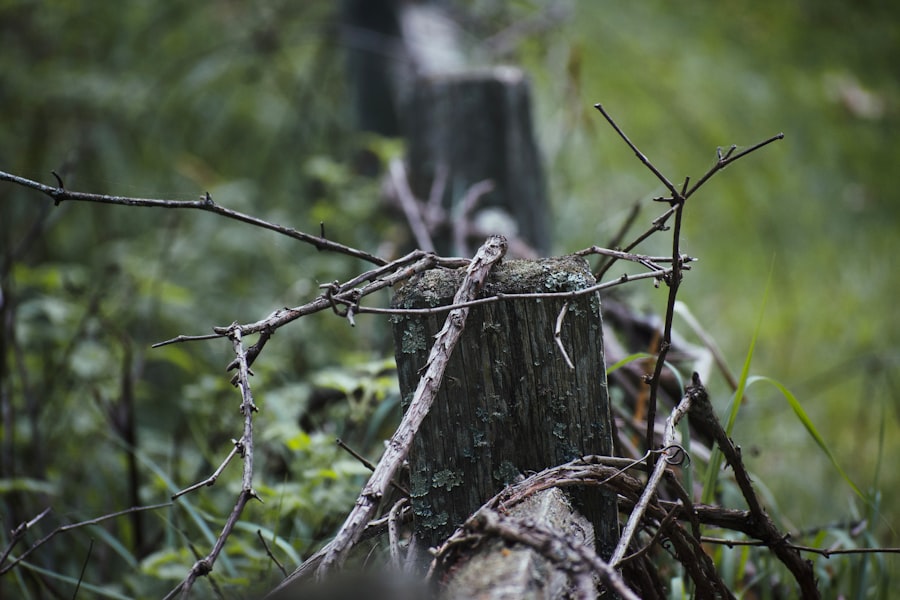 Photo scada systems vulnerability