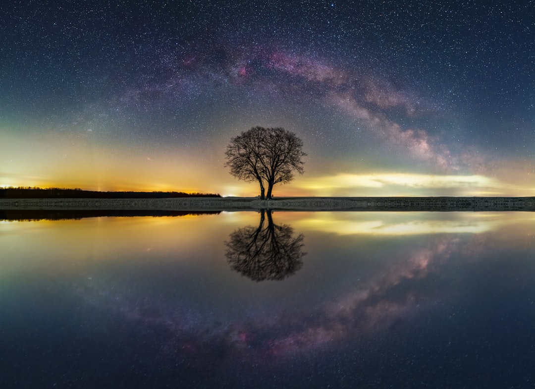 Photo fate of the universe