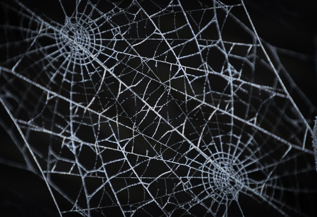 Photo cosmic web structure