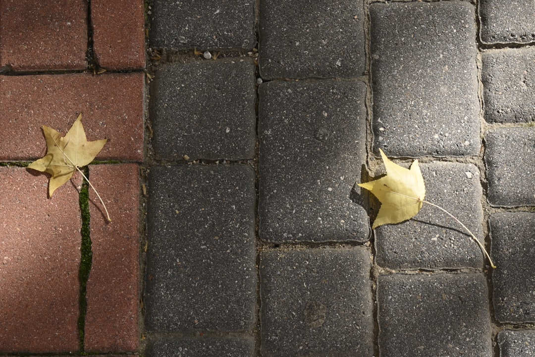 Photo starlink debris problem