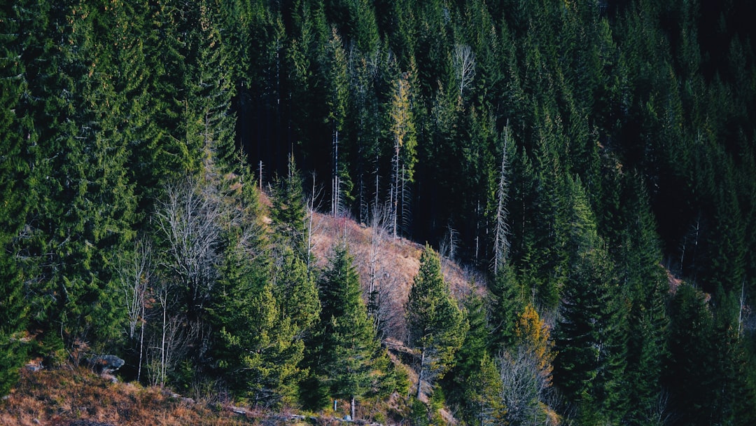 Photo kessler cascade