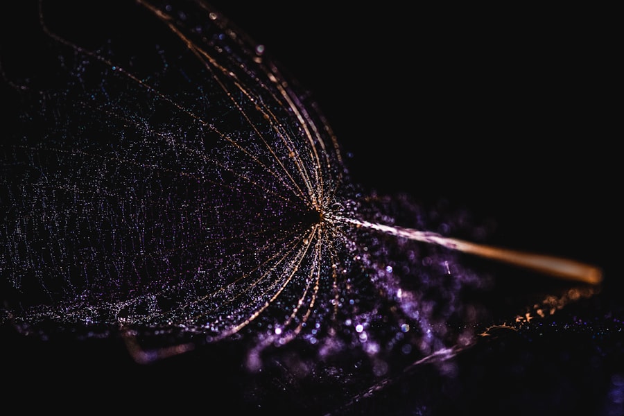 cosmic web information flow