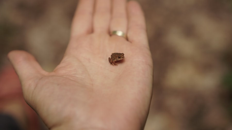 smallest piece of reality