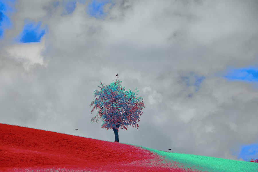 ancestor simulations