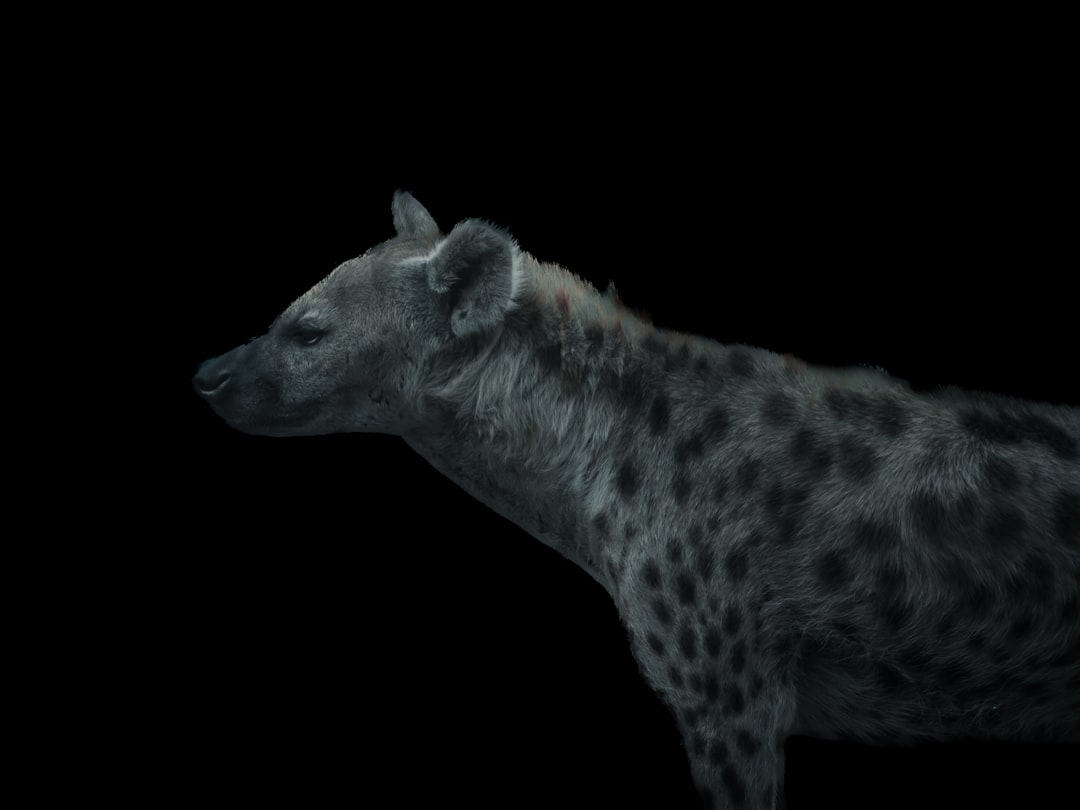 Photo ancestor simulations