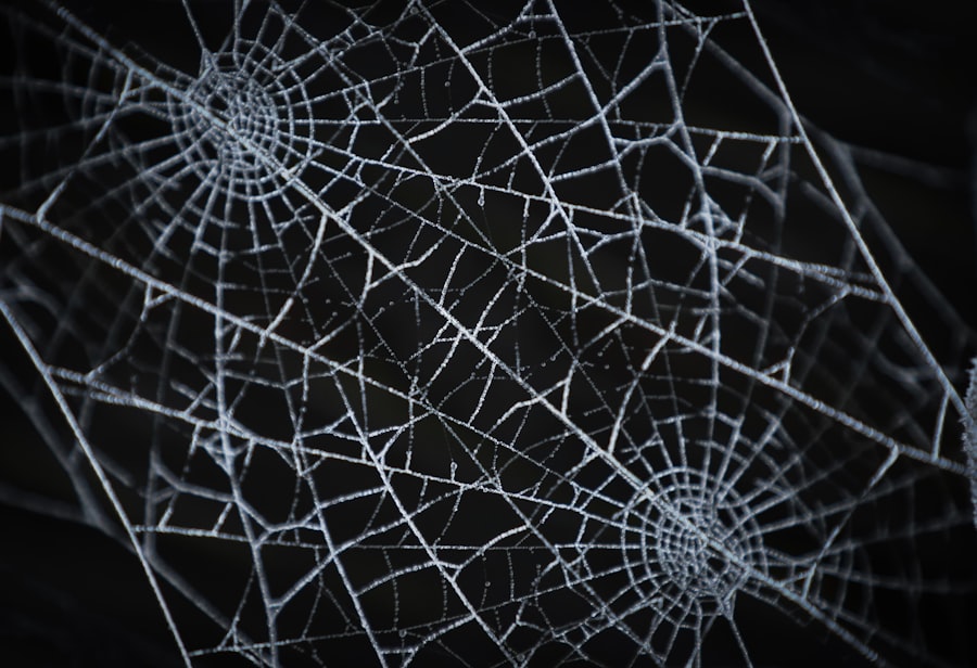 Photo cosmic web