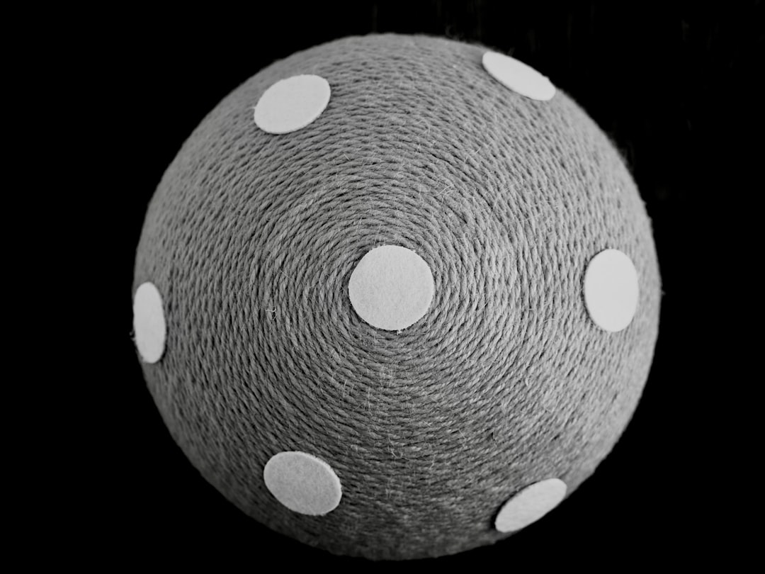 Photo disk morphology