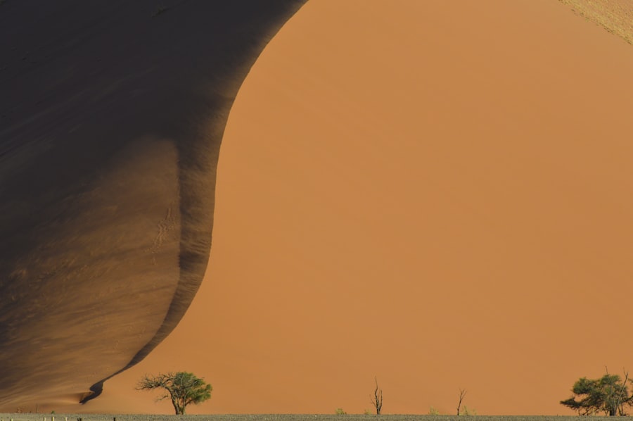 Photo 3I/ATLAS being alien