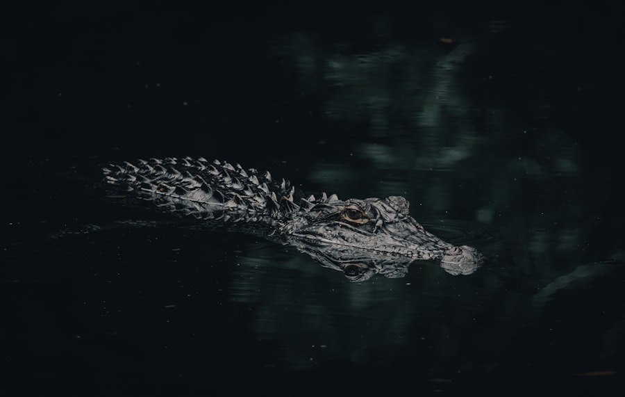 Photo oumuamua accelerate