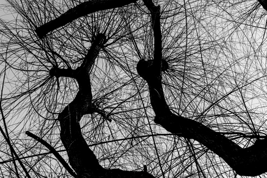 Photo entanglement reality