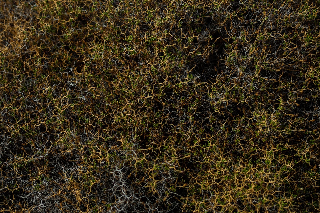 Photo cosmological simulations neural networks