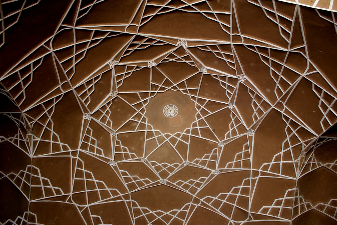 Photo cosmic web structure formation