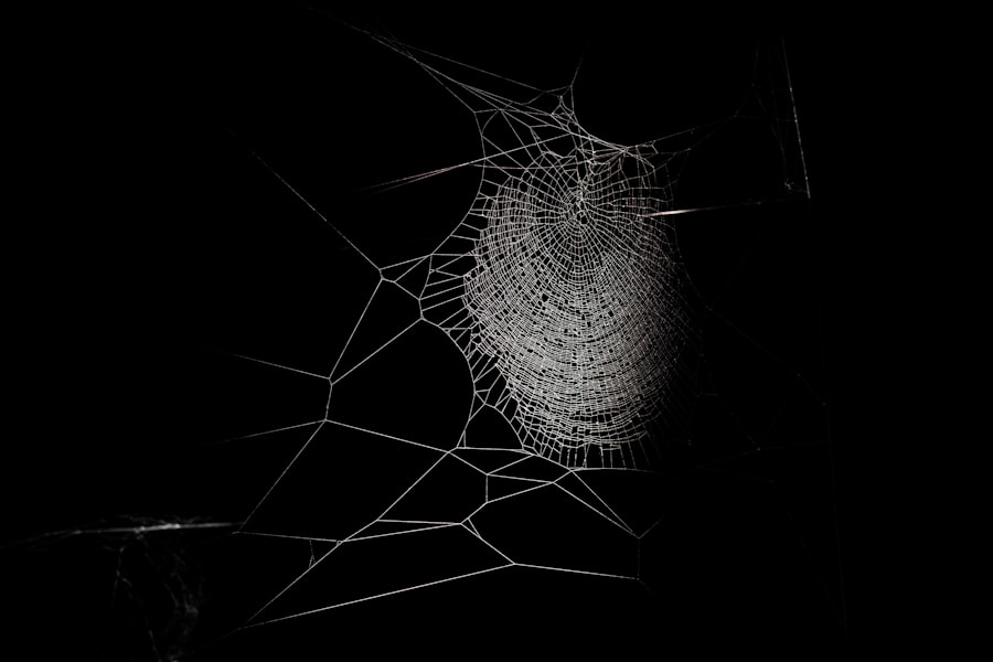 Photo cosmic web