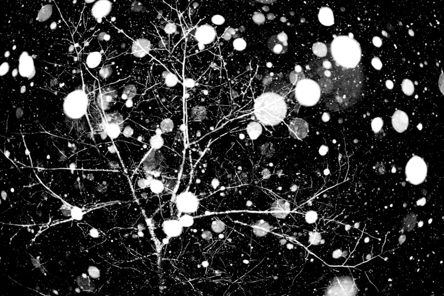 Photo galaxies neurons rhyme