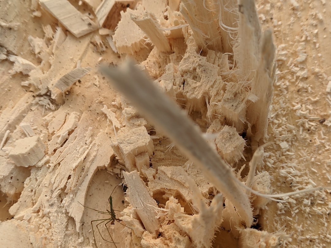 Photo margalus levitin bound