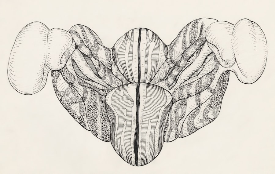 Photo margalus levitin bound