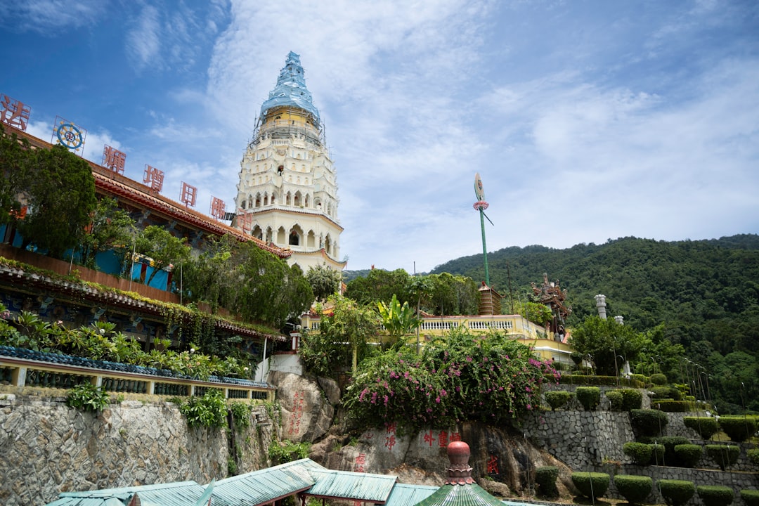 Photo entanglement islands