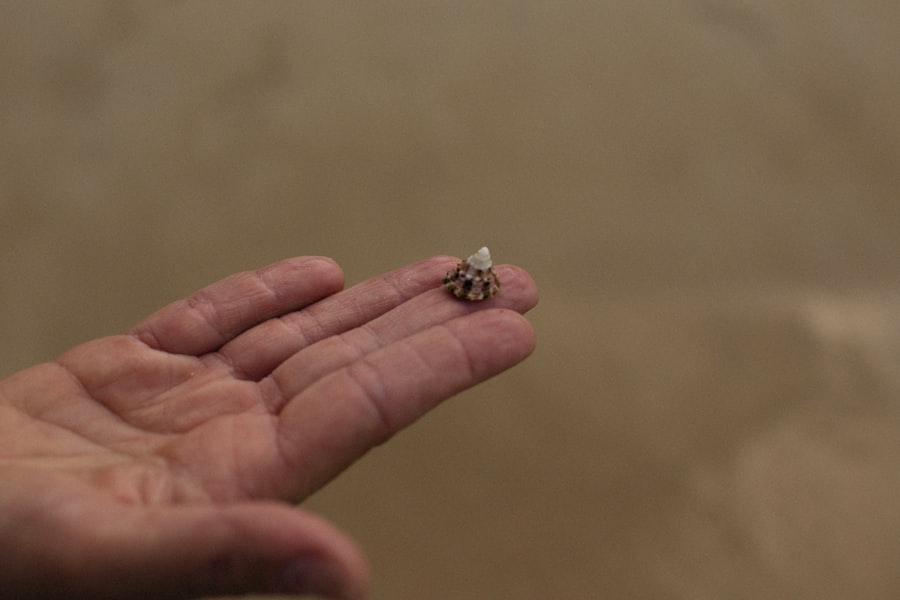 Photo smallest piece of reality