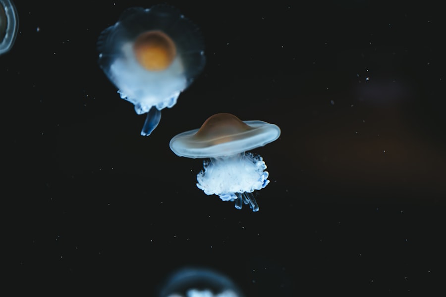 Extraterrestrial life signs