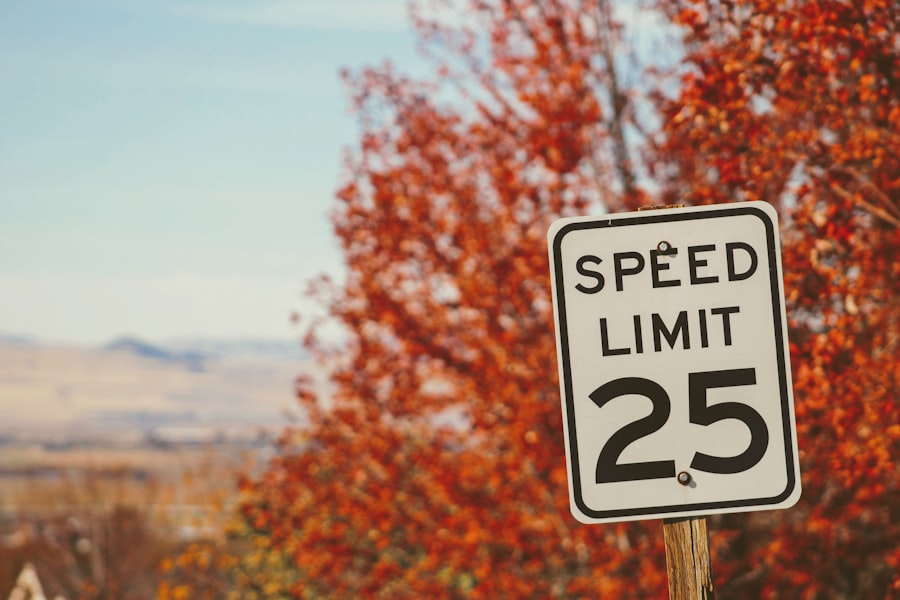 quantum speed limit