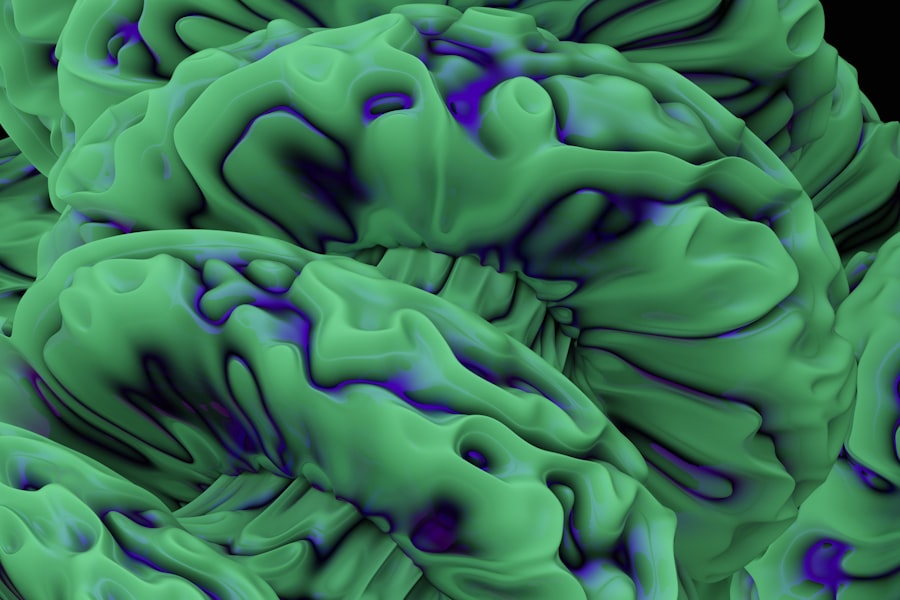 brain decide consciousness