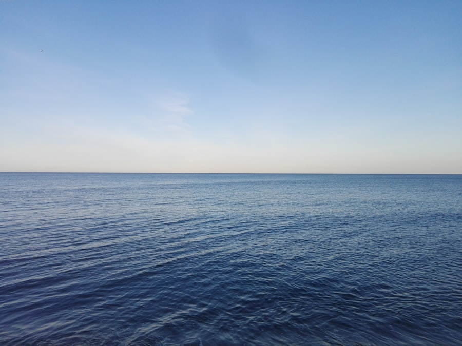 Photo Sitter horizon