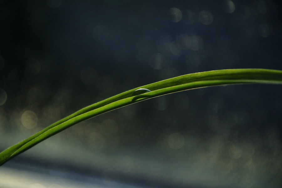 Photo weak lensing structure growth