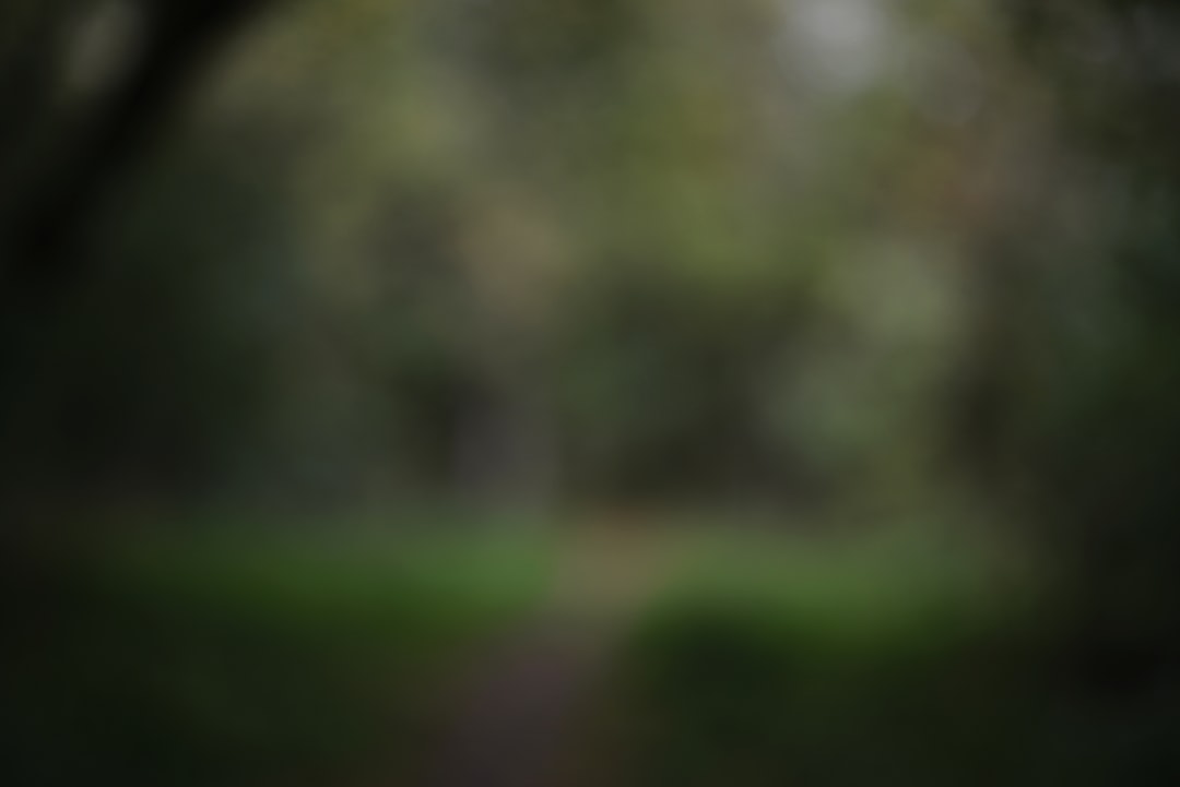 Photo SETI alien contact protocol