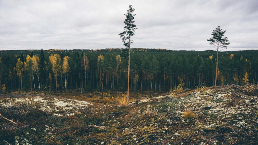 Photo environmental decoherence timescales