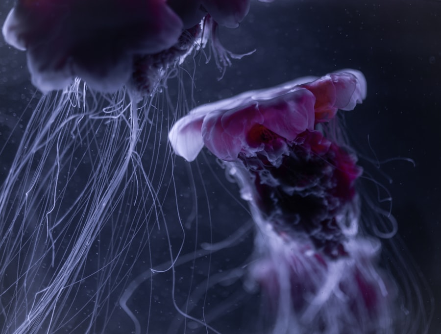 Photo myelin plasticity