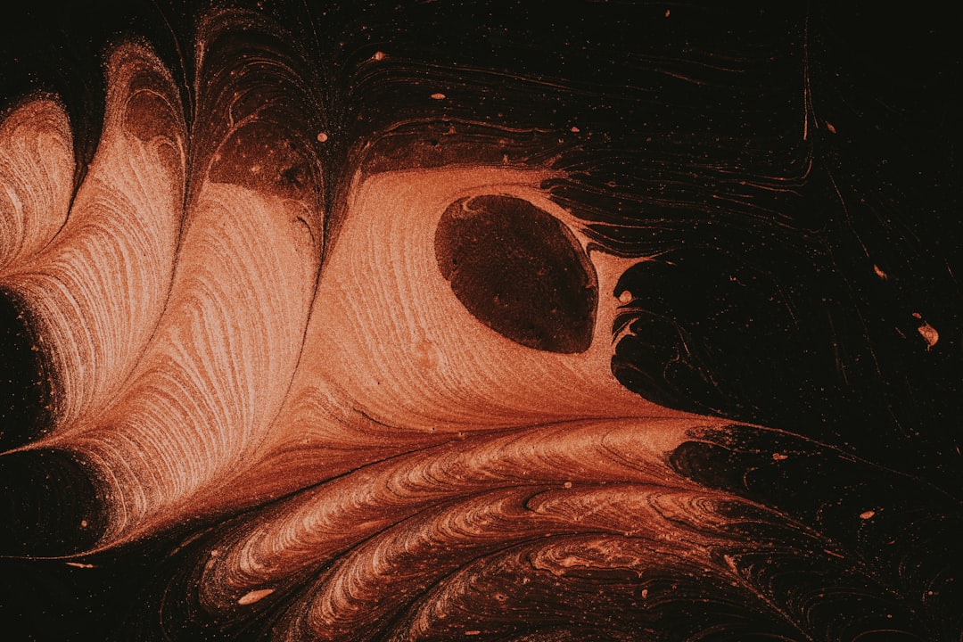 Photo orbitofrontal cortex