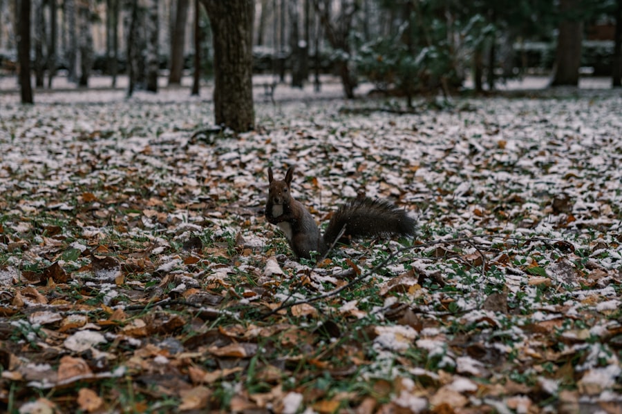 Photo behavior change