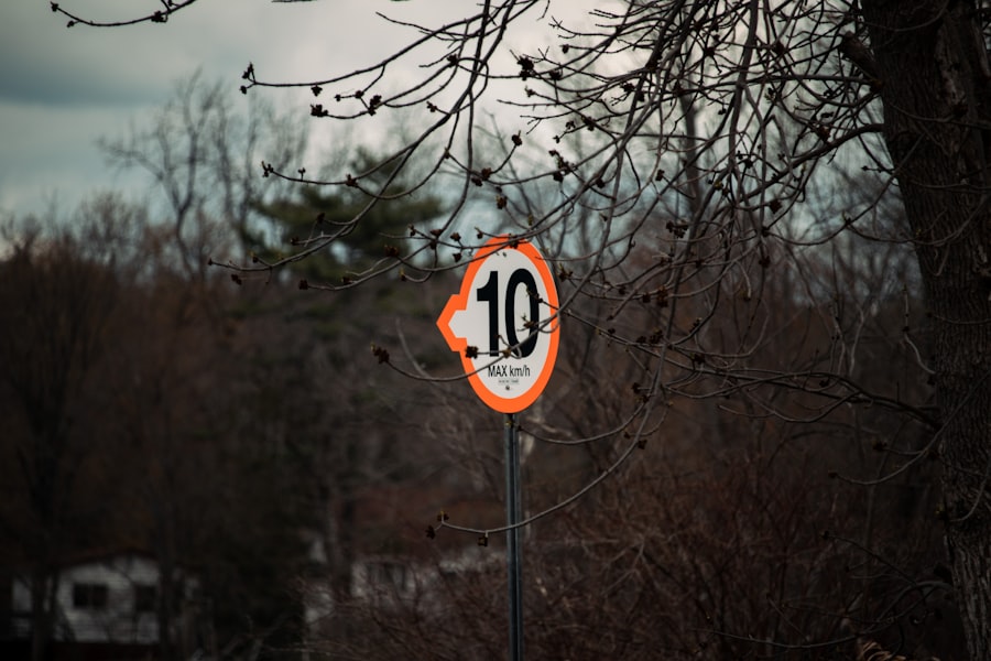 margolus levitin speed limit