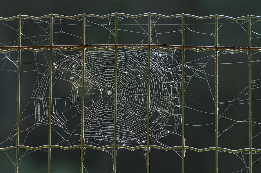 entanglement wedge reconstruction