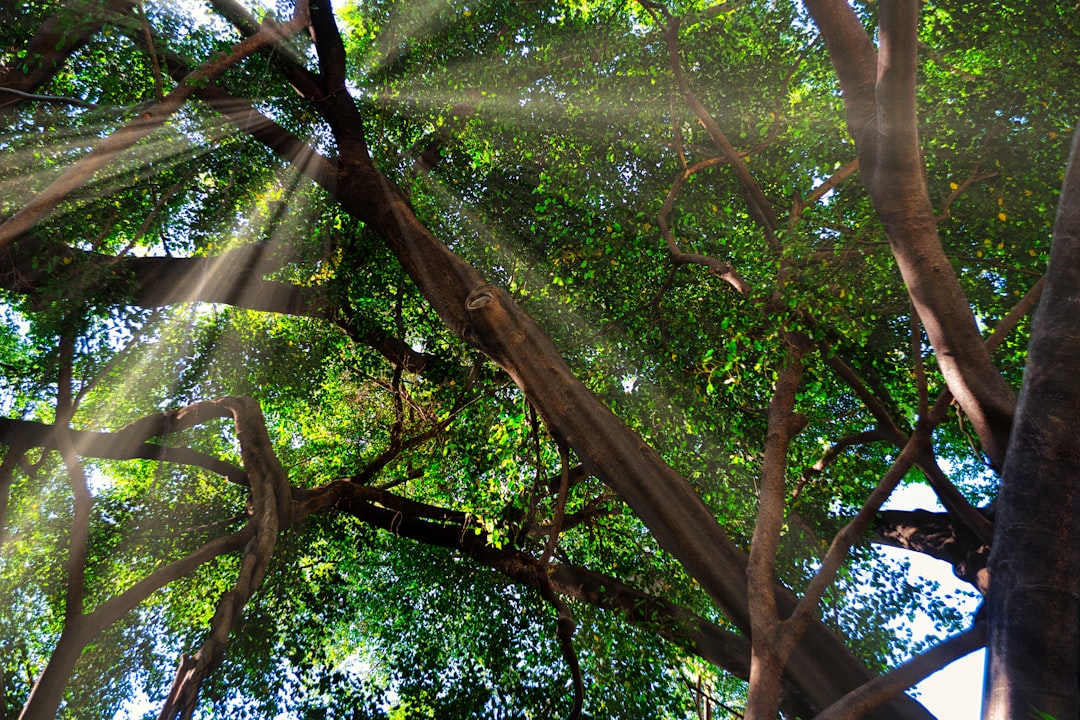 Photo entropy