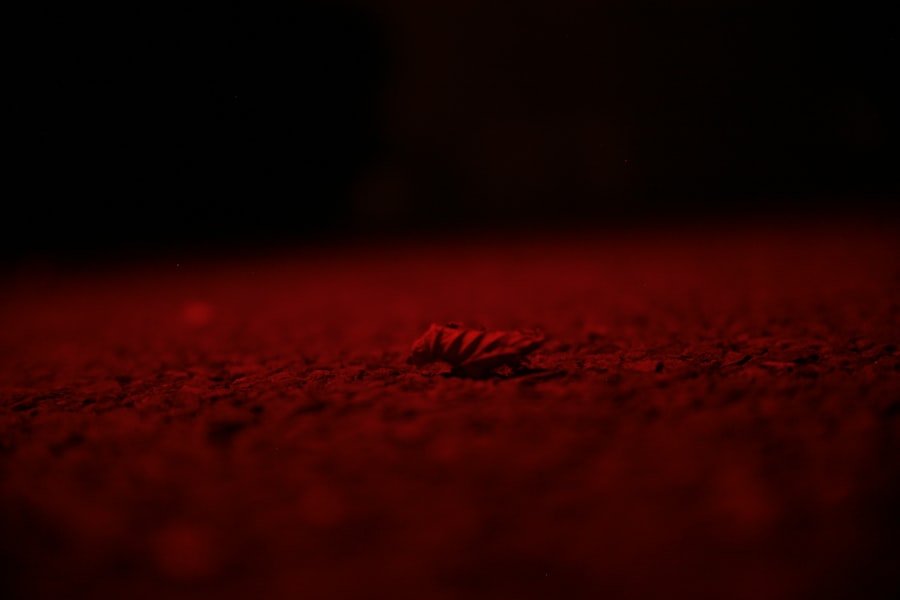 Photo redshift drift