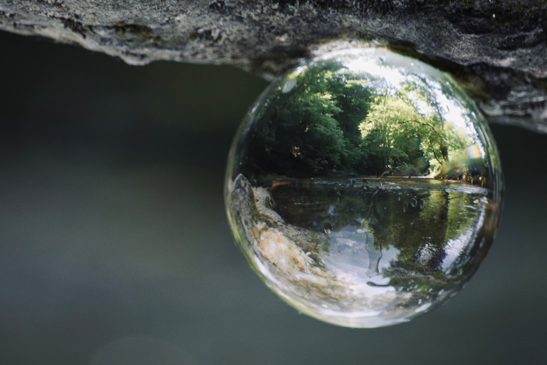 Photo environmental screening mechanisms physics