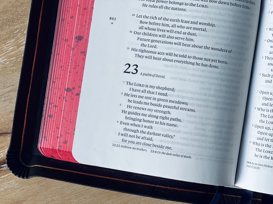 Photo interpretation