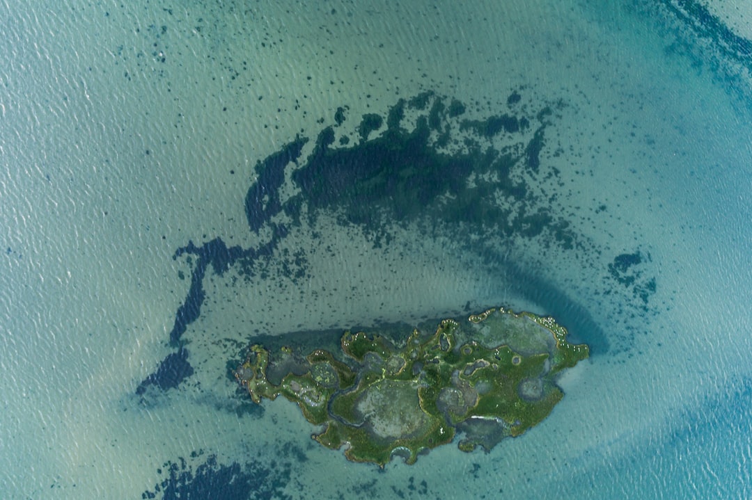 Photo entanglement islands